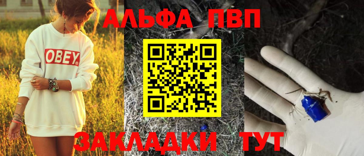 Альфа ПВП СК КРИС Курчатов