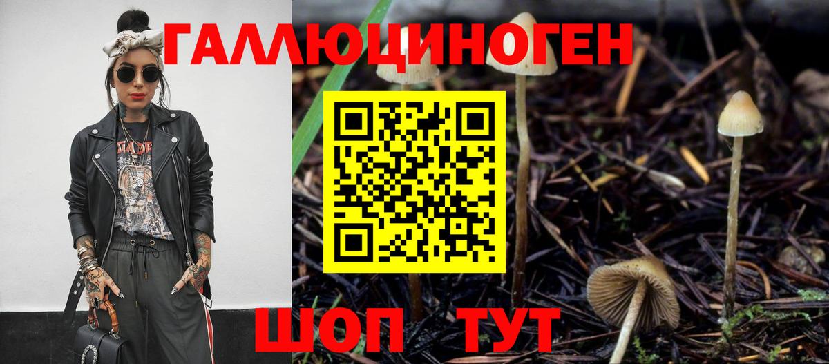 Псилоцибиновые грибы Psilocybine cubensis  Галлюциногенные грибы Cubensis  Курчатов  Вход с VPN 